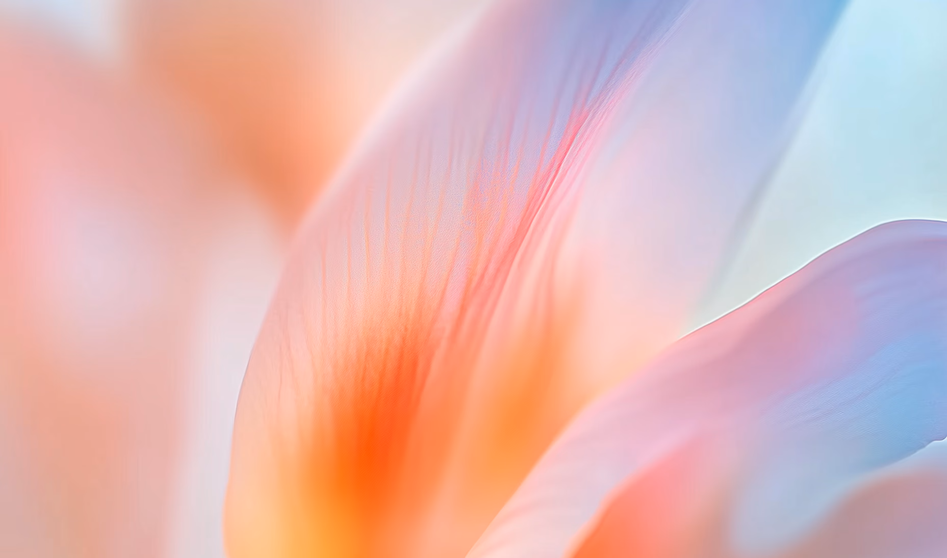 Colorful abstract gradient with soft pink, orange, and blue hues blending together