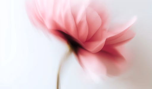 Soft pink flower with delicate petals in motion blur against a white background